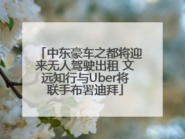 中东豪车之都将迎来无人驾驶出租 文远知行与Uber将联手布署迪拜