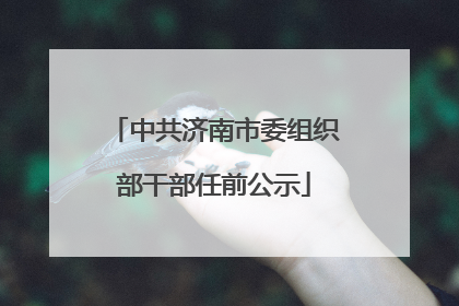 中共济南市委组织部干部任前公示