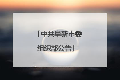 中共阜新市委组织部公告