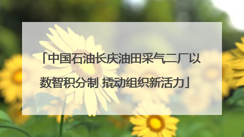 中国石油长庆油田采气二厂以数智积分制 撬动组织新活力