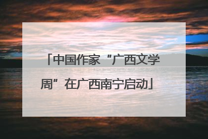 中国作家“广西文学周”在广西南宁启动