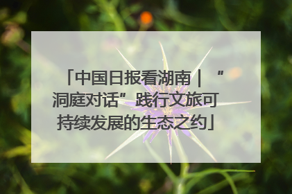 中国日报看湖南｜“洞庭对话”践行文旅可持续发展的生态之约