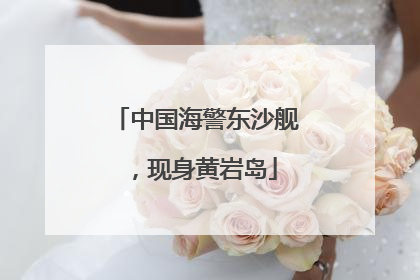 中国海警东沙舰，现身黄岩岛