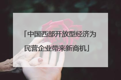 中国西部开放型经济为民营企业带来新商机