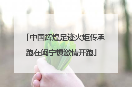 中国辉煌足迹火炬传承跑在闽宁镇激情开跑