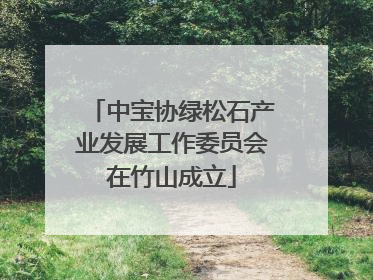 中宝协绿松石产业发展工作委员会在竹山成立