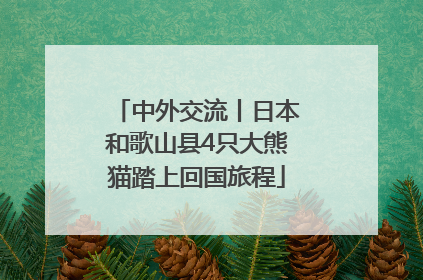 中外交流丨日本和歌山县4只大熊猫踏上回国旅程