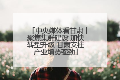 中央媒体看甘肃丨聚焦集群建设 加快转型升级 甘肃支柱产业增势强劲