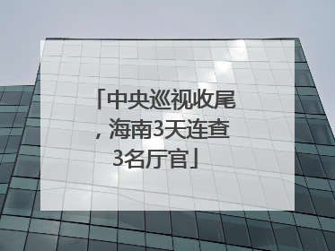中央巡视收尾，海南3天连查3名厅官