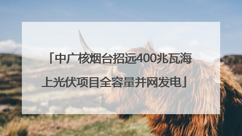 中广核烟台招远400兆瓦海上光伏项目全容量并网发电