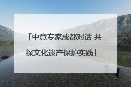 中意专家成都对话 共探文化遗产保护实践