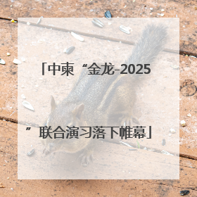 中柬“金龙-2025”联合演习落下帷幕