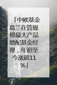 中欧基金葛兰在管规模最大产品增配基金经理，年初至今涨超11%