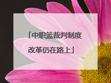 中职篮裁判制度改革仍在路上