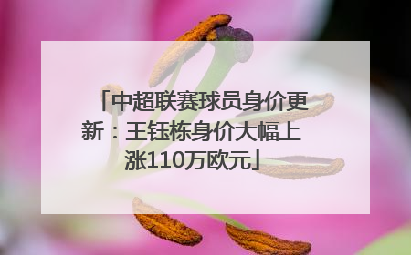中超联赛球员身价更新：王钰栋身价大幅上涨110万欧元