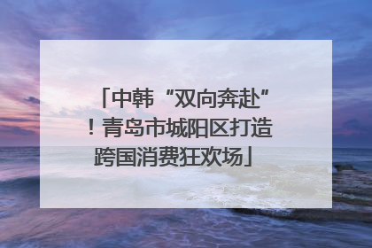 中韩“双向奔赴”！青岛市城阳区打造跨国消费狂欢场