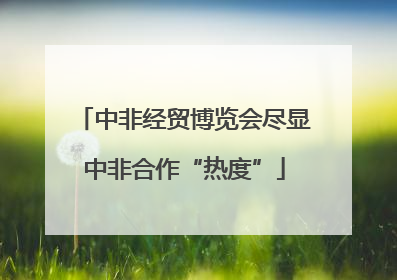 中非经贸博览会尽显中非合作“热度”