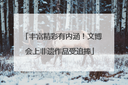 丰富精彩有内涵！文博会上非遗作品受追捧