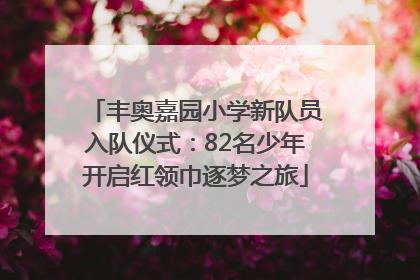 丰奥嘉园小学新队员入队仪式：82名少年开启红领巾逐梦之旅