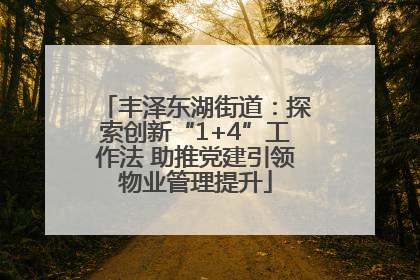 丰泽东湖街道：探索创新“1+4”工作法 助推党建引领物业管理提升