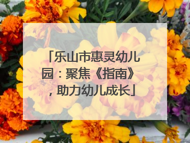 乐山市惠灵幼儿园：聚焦《指南》，助力幼儿成长