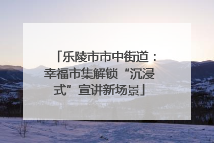 乐陵市市中街道：幸福市集解锁“沉浸式”宣讲新场景