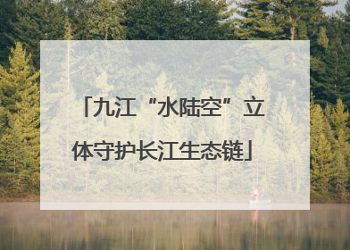 九江“水陆空”立体守护长江生态链