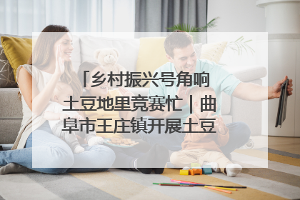 乡村振兴号角响 土豆地里竞赛忙｜曲阜市王庄镇开展土豆收获劳动竞赛