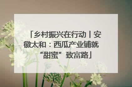 乡村振兴在行动丨安徽太和：西瓜产业铺就“甜蜜”致富路