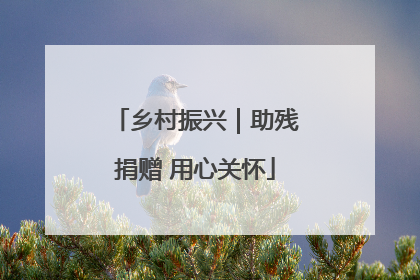 乡村振兴｜助残捐赠 用心关怀