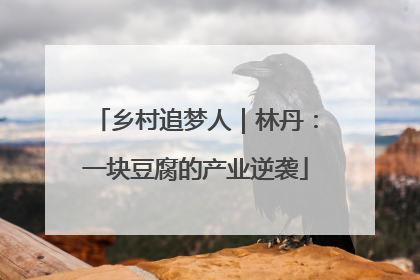 乡村追梦人｜林丹：一块豆腐的产业逆袭