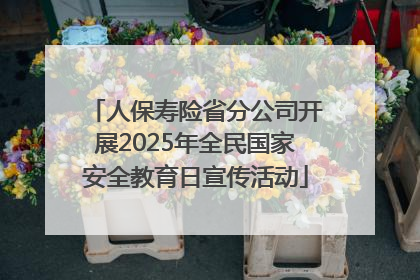 人保寿险省分公司开展2025年全民国家安全教育日宣传活动