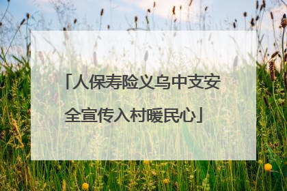 人保寿险义乌中支安全宣传入村暖民心