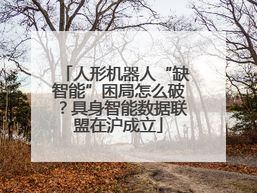 人形机器人“缺智能”困局怎么破？具身智能数据联盟在沪成立