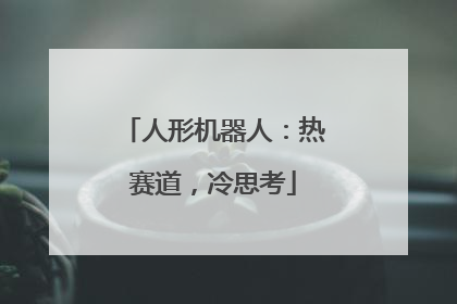 人形机器人：热赛道，冷思考
