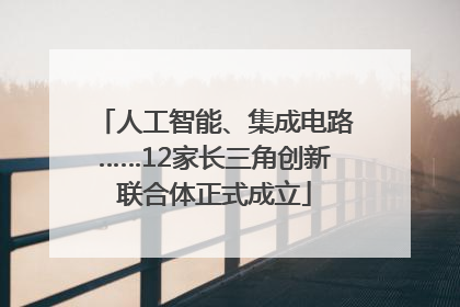 人工智能、集成电路……12家长三角创新联合体正式成立