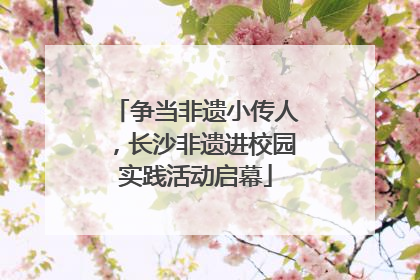 争当非遗小传人，长沙非遗进校园实践活动启幕