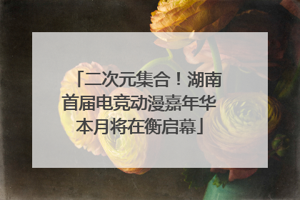 二次元集合！湖南首届电竞动漫嘉年华本月将在衡启幕