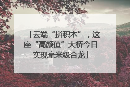 云端“拼积木”，这座“高颜值”大桥今日实现毫米级合龙