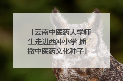 云南中医药大学师生走进西冲小学 播撒中医药文化种子