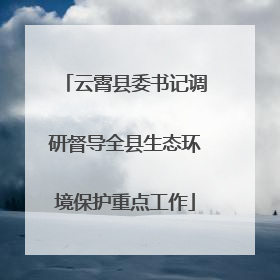 云霄县委书记调研督导全县生态环境保护重点工作