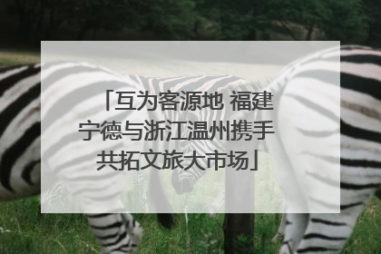 互为客源地 福建宁德与浙江温州携手共拓文旅大市场