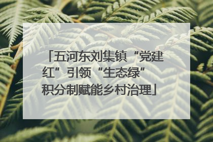 五河东刘集镇“党建红”引领“生态绿” 积分制赋能乡村治理