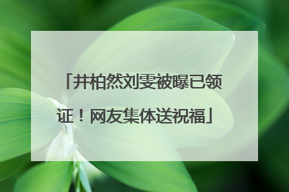 井柏然刘雯被曝已领证！网友集体送祝福