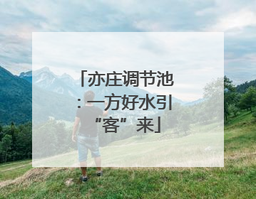 亦庄调节池：一方好水引“客”来