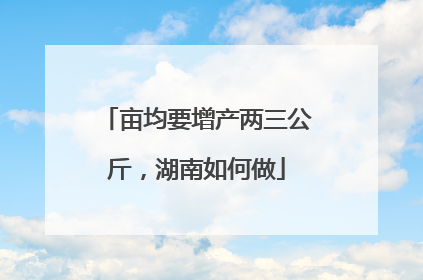 亩均要增产两三公斤，湖南如何做