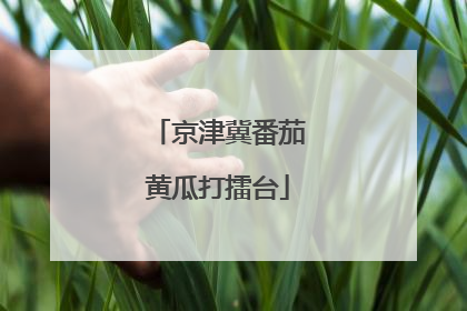 京津冀番茄黄瓜打擂台