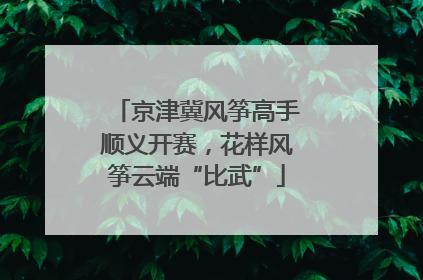京津冀风筝高手顺义开赛，花样风筝云端“比武”