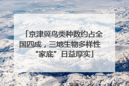 京津冀鸟类种数约占全国四成，三地生物多样性“家底”日益厚实
