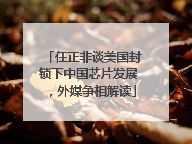 任正非谈美国封锁下中国芯片发展，外媒争相解读